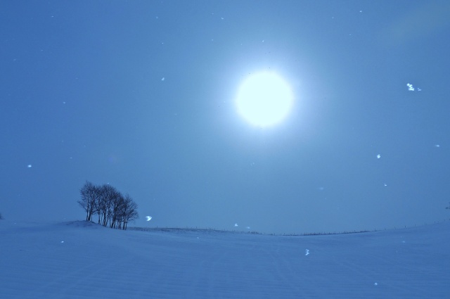 雪舞う冬の牧場