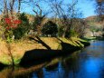 晩秋の忍野八海