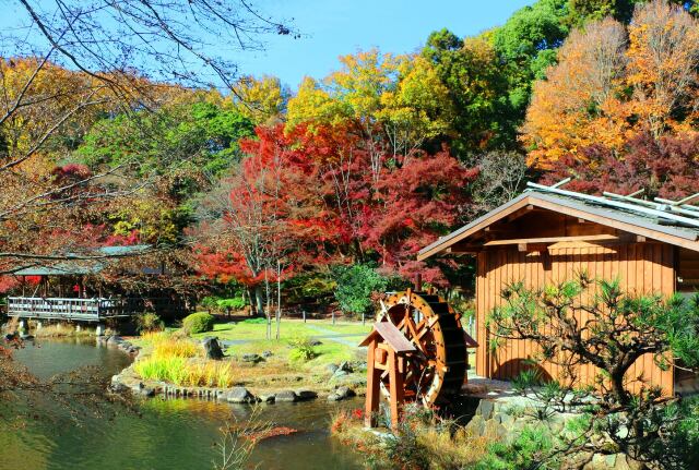 東山動植物園