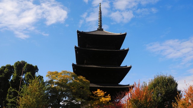 秋の東寺