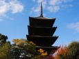 秋の東寺