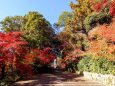 秋の光明寺