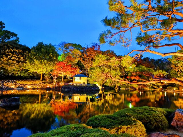 白鳥庭園ライトアップ