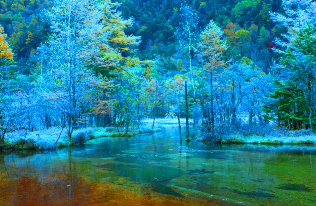 初冬の田代湿原