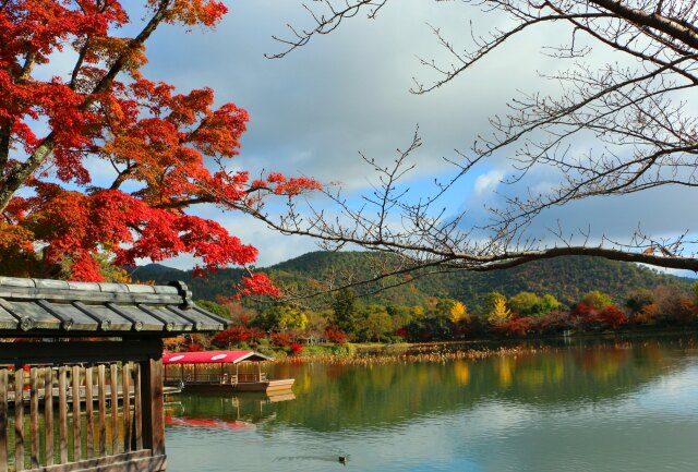 大覚寺