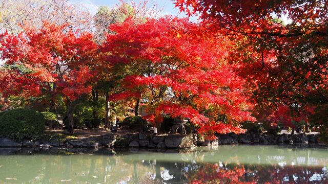 秋の東寺