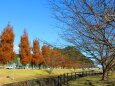 東紀州初冬の公園