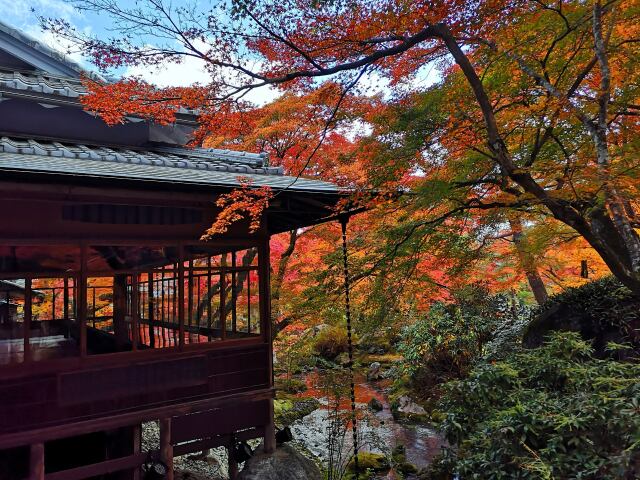 嵯峨野12月