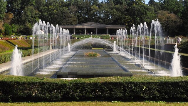 秋の神代植物公園