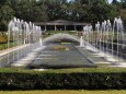 秋の神代植物公園