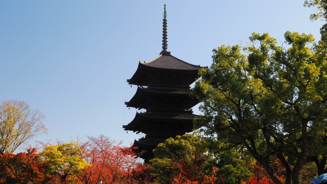 秋の東寺