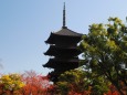 秋の東寺