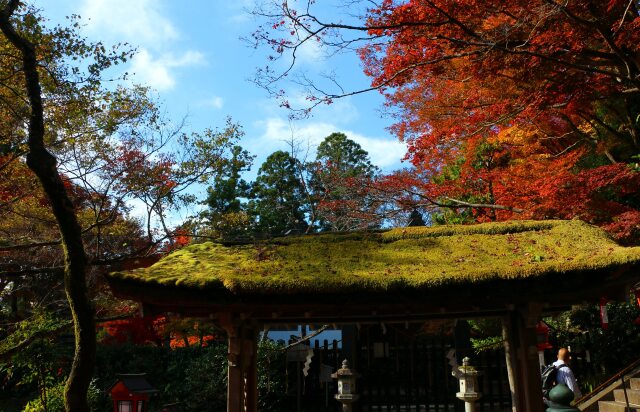 迎春鞍馬寺