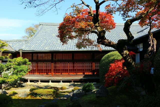 迎春醍醐寺