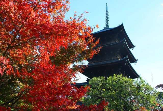 迎春東寺