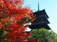 迎春東寺