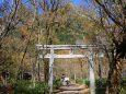 迎春穂高神社