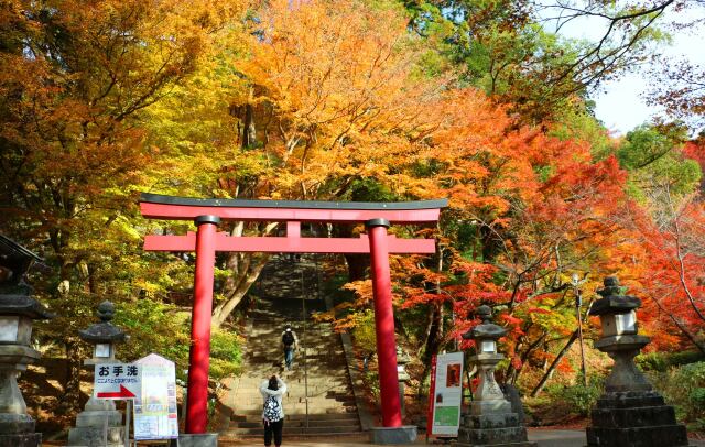 迎春談山神社