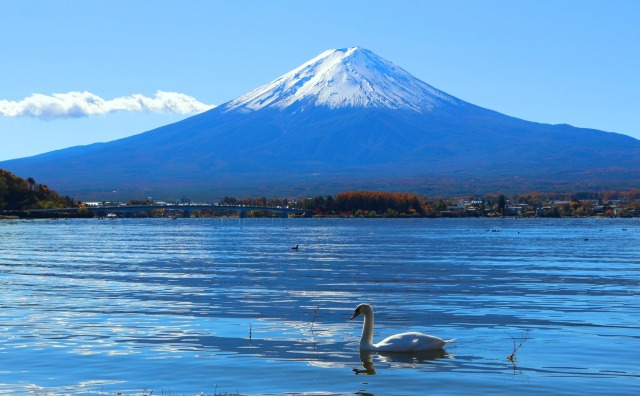 迎春河口湖富士山