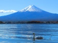 迎春河口湖富士山