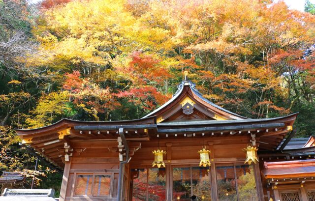 迎春貴船神社