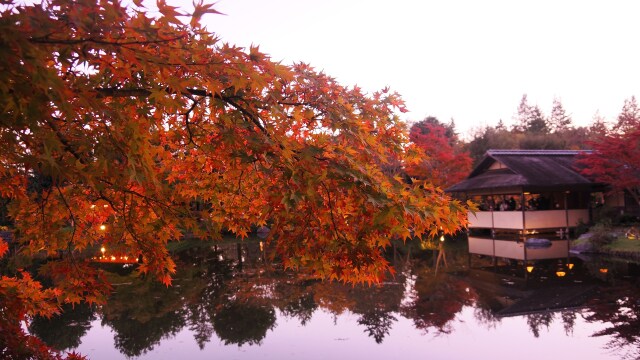 秋の昭和記念公園