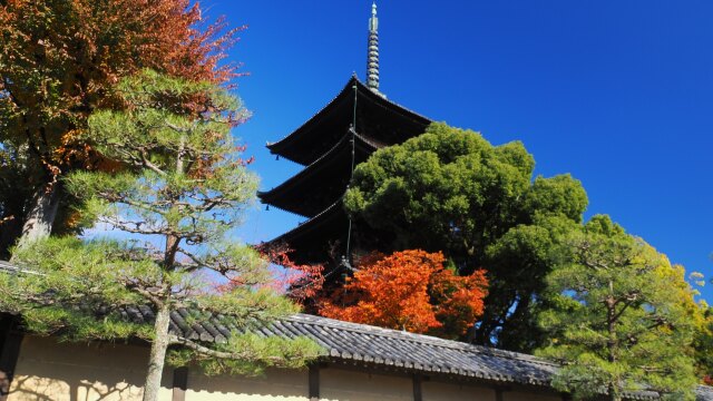 秋の東寺