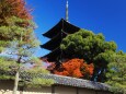 秋の東寺