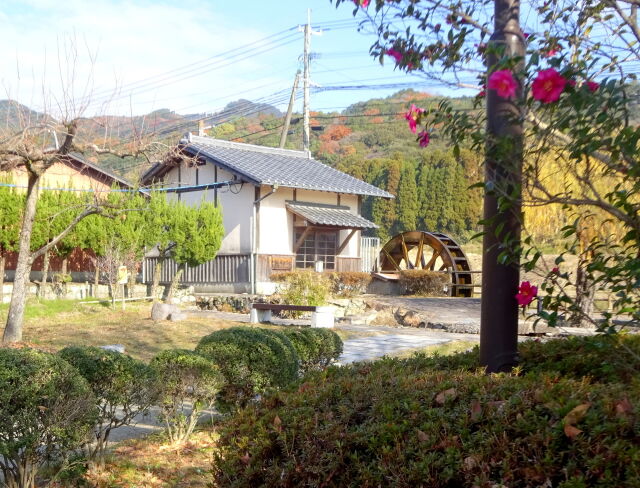 今年も 慌てずゆっくり面白く