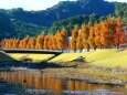 東紀州師走の公園