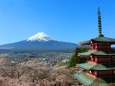 迎春富士山