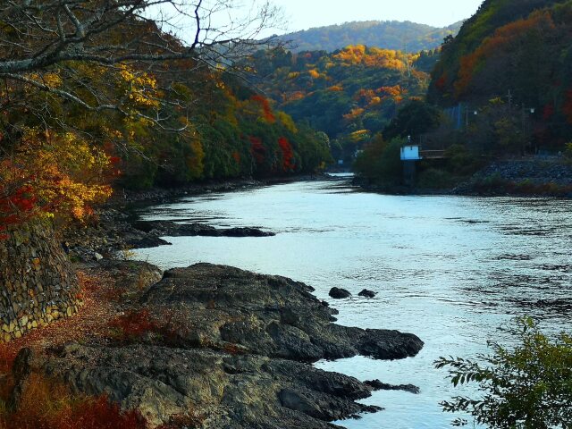 12月の宇治川