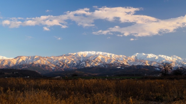 冬の富山の風景