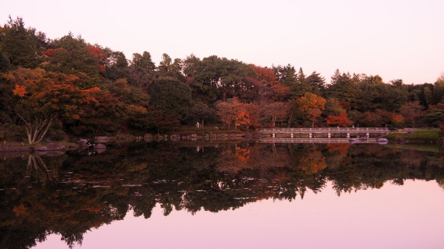 秋の昭和記念公園