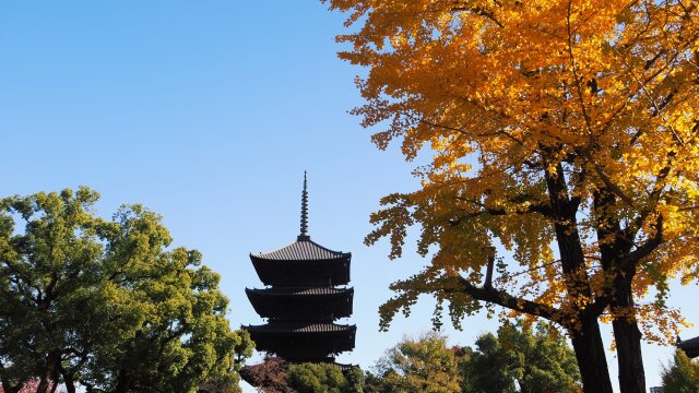 秋の東寺