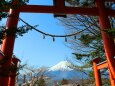 迎春荒倉山浅間神社