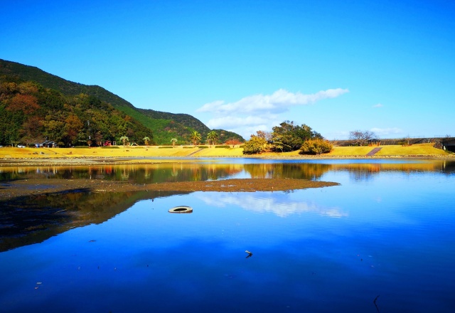 冬の東紀州の水辺