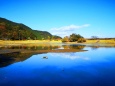 冬の東紀州の水辺