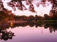 秋の昭和記念公園の夕景