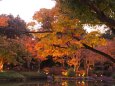 秋の昭和記念公園の夕景