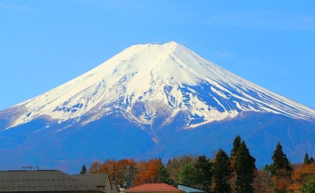 迎春富士山