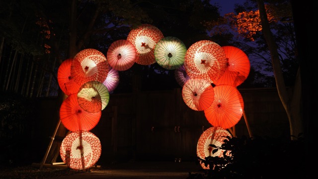 秋の夜の昭和記念公園