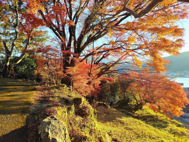 東紀州1月でも紅葉