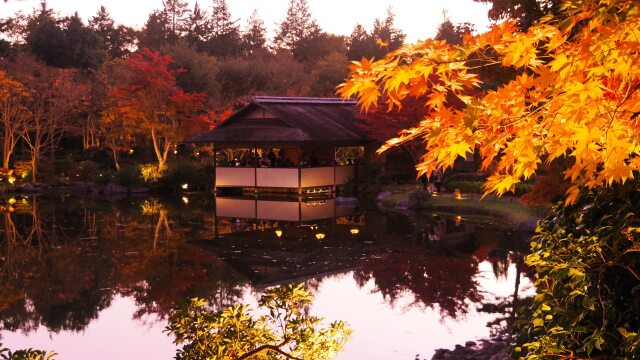 秋の夜の昭和記念公園