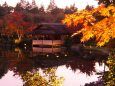 秋の夜の昭和記念公園