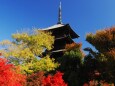 秋の東寺