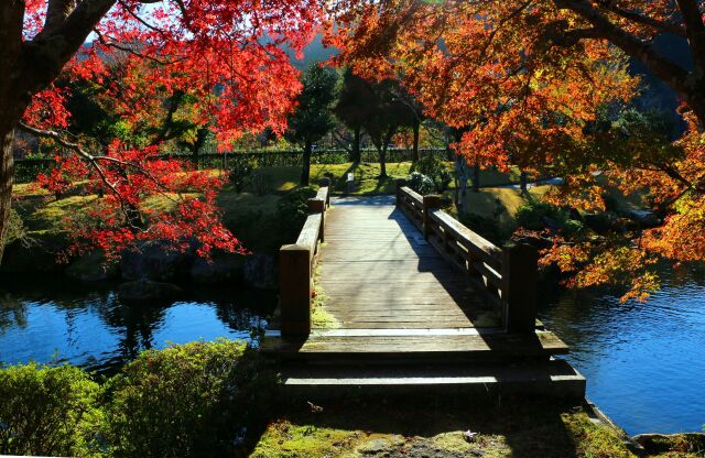 東紀州1月の公園