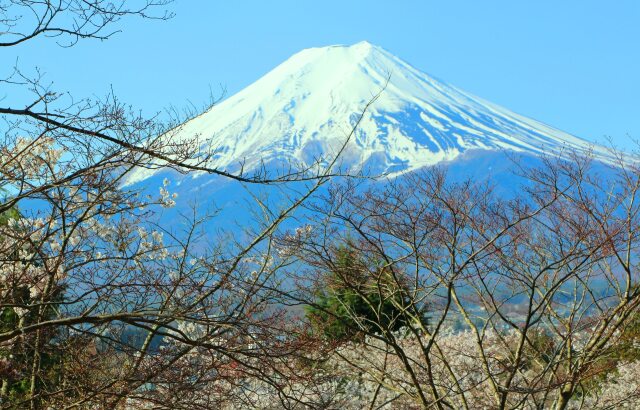 迎春富士山