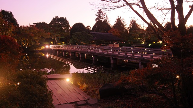 秋の夜の昭和記念公園