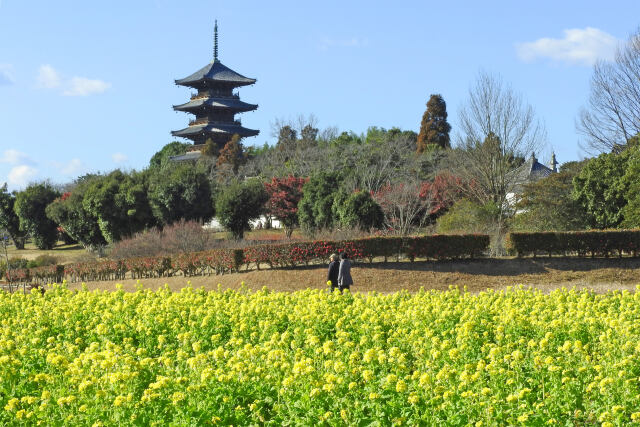 冬の吉備路 備中国分寺